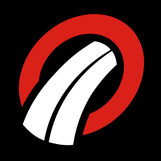 VisionReport logo