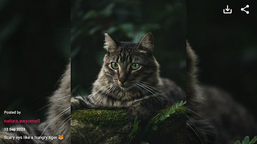 Xmooth: Explorer for Instagram Screen 3