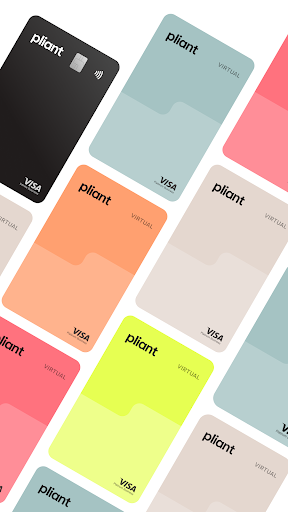 Pliant Screen 2