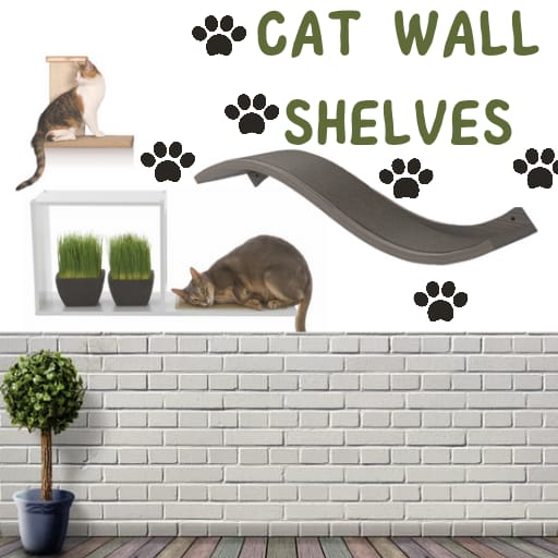 Cat Wall shelves