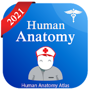 Human Anatomy Atlas - Anatomy Learning 2021