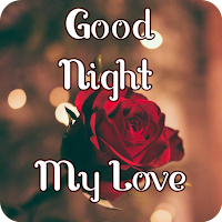 Good Night My Love