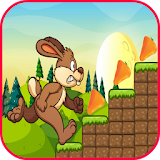 Jungle bunny run icon