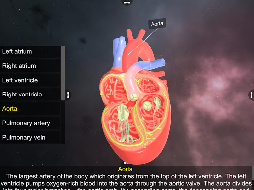 Double circulation Screen 3