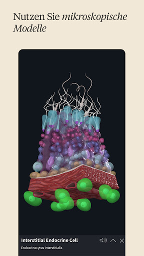 Complete Anatomy: Lernen in 3D screenshot 7