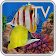 Butterfly Fish Aquarium TV - 4k Saltwater Tank App icon