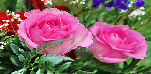 Logo https://play-lh.googleusercontent.com/_sS5ZBX-khXoFp_hBGmbGu7rl72IO8YHxwcQr8Nn-BgNBPB9Q_1u_FOyZXPSH2F0AMJp