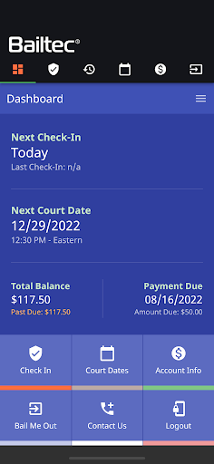 Bailtec Client Screen 2