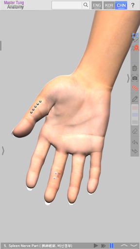 Master Tung`s Acupoint Anatomy Screen 3