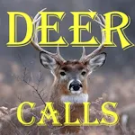 Cover Image of Download Deer Calls HD  APK