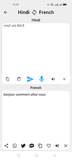 Hindi To French Translator Screen 2