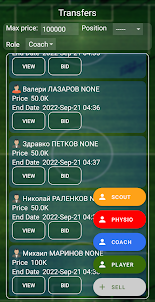 City Football Manager (soccer)