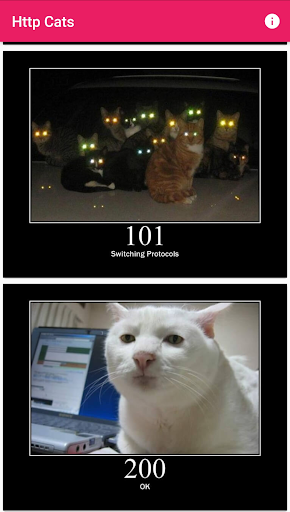 HTTPCat Screen 3