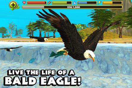 the eagle game