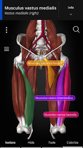 Anatomyka - Atlas de anatomía 3D MOD APK (todo desbloqueado) 2