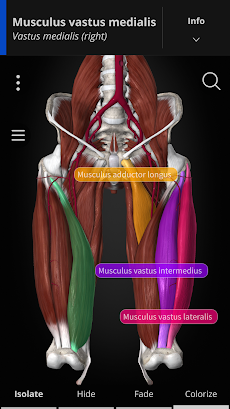 Anatomyka - 3D Anatomy Atlasのおすすめ画像2
