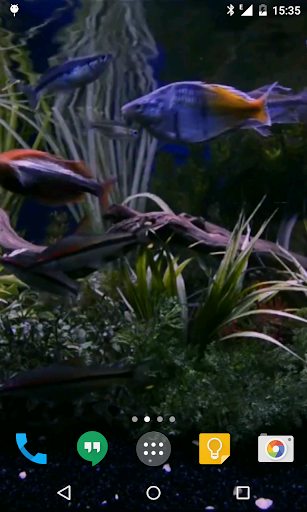 Aquarium Live Wallpaper Screen 3