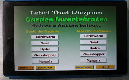 Label that Diagram - Garden In