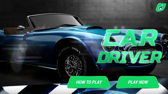 Car driver racing