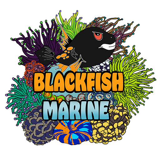 Blackfish Marine logo