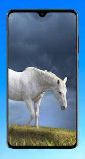 Horse Wallpaper 4K 1.05 APK screenshots 15