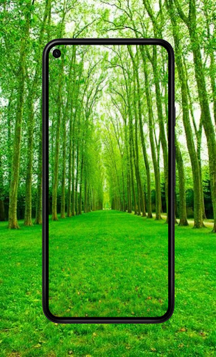 Android application Green wallpapers 4K 2024 screenshort
