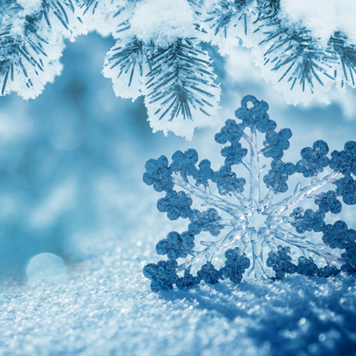 Winter Wallpaper 1.0.6 Icon