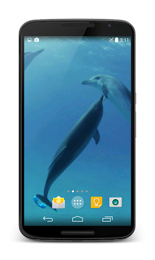 Dolphins Video Live Wallpaper Screen 3