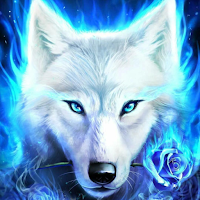 Awesome Wolf Backgrounds 4k-HD
