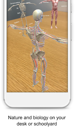 AR School Global Goals Actions