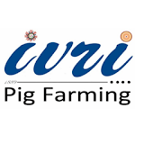 IVRI-Pig Farming App(शूकर पालन) icon