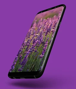 Purple Aesthetic Wallpapers for Android - Download
