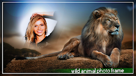 screenshot of Wild Animal Photo Editor 3D