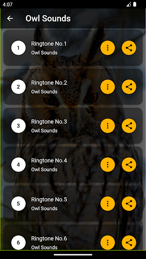Owl Ringtones Screen 2