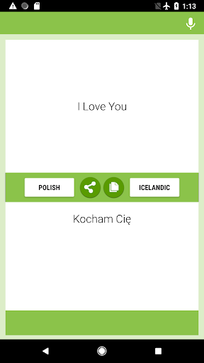 Polish-Icelandic Translator Screen 2