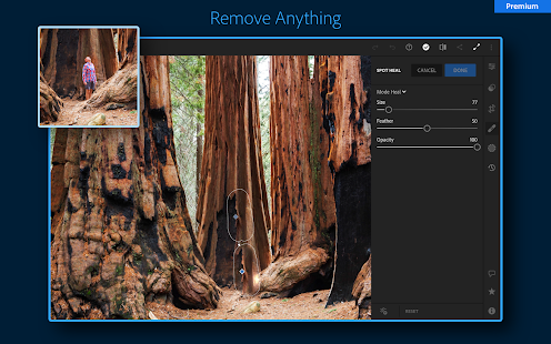 Adobe Lightroom: Photo Editor Screenshot