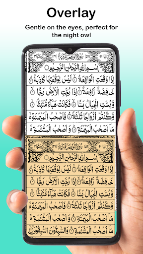 Quran Majeed - القرآن المجید Screenshot