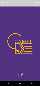 Camel Delivery Driver