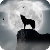 Wolf and moon Live Wallpaper icon