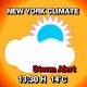 Climate New York Free Download on Windows