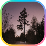 Cover Image of Download 카카오톡 테마 - 해질녘_나무 한 그루  APK