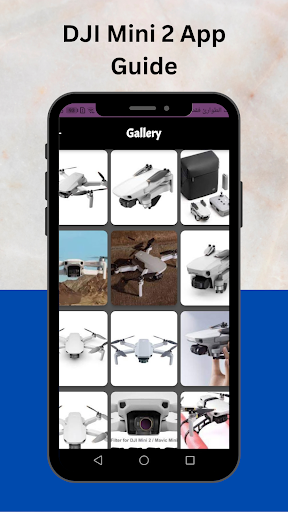 DJI Mini 2 App Guide Screen 3