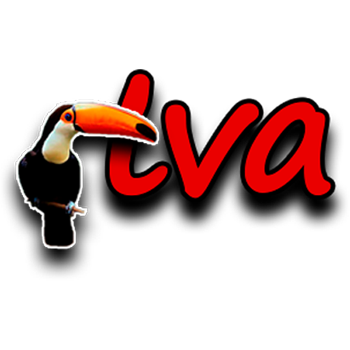 Canal 9 logo