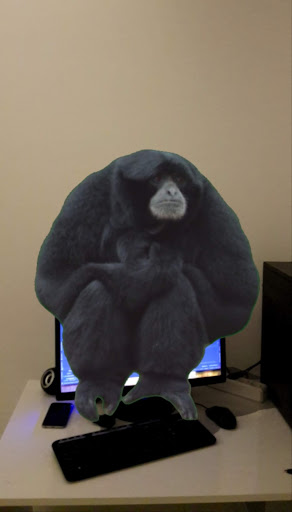 Video AR Screen 3