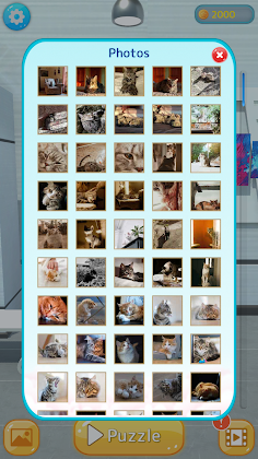 Cats Gallery - Screenshot 4