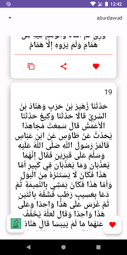 Ahadith Screen 2