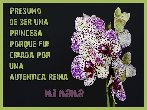 Feliz día mama 🌹 Frases Decál