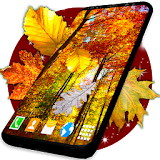 Autumn Leaves Live Wallpaper ❤️ Forest Themes icon