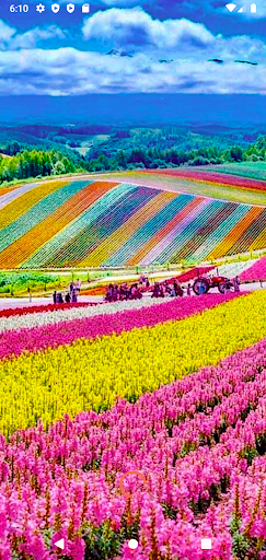 Garden Wallpaper, Spring 4k