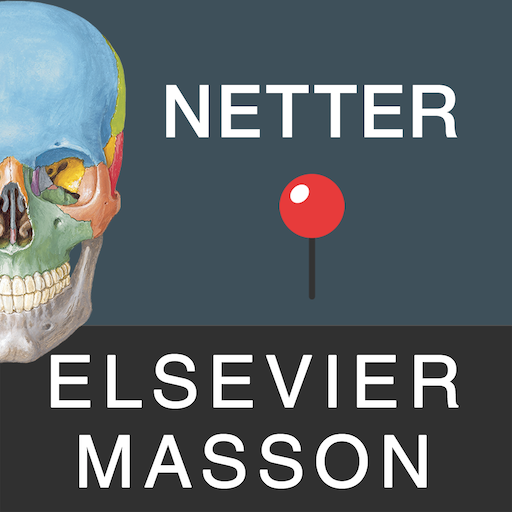Mémofiches Anatomie Netter 1.8.4 Icon